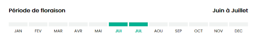 0607 juin à juillet