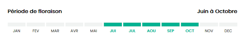 0610 juin à octobre
