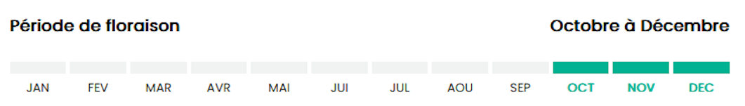 1012 Octobre à déc