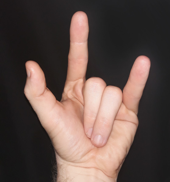 Mudra Shan